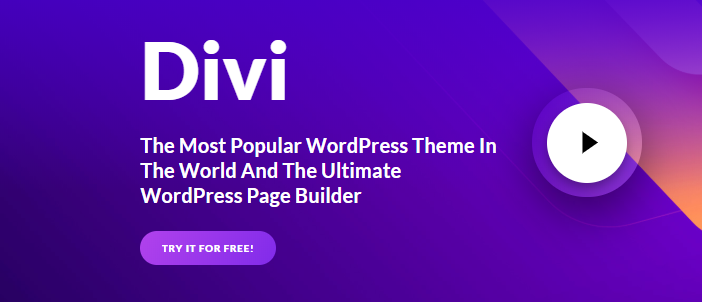 divi wordpress theme