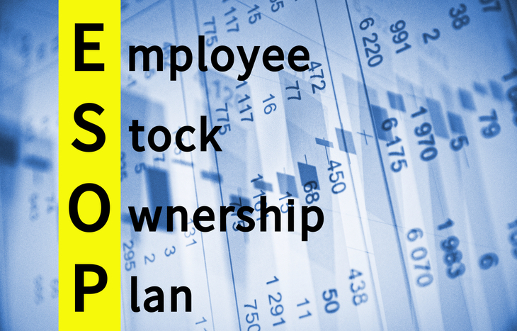 employee stock ownership